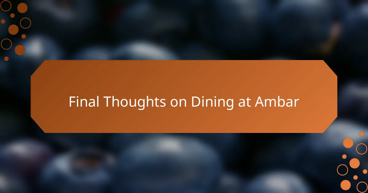 Final Thoughts on Dining at Ambar