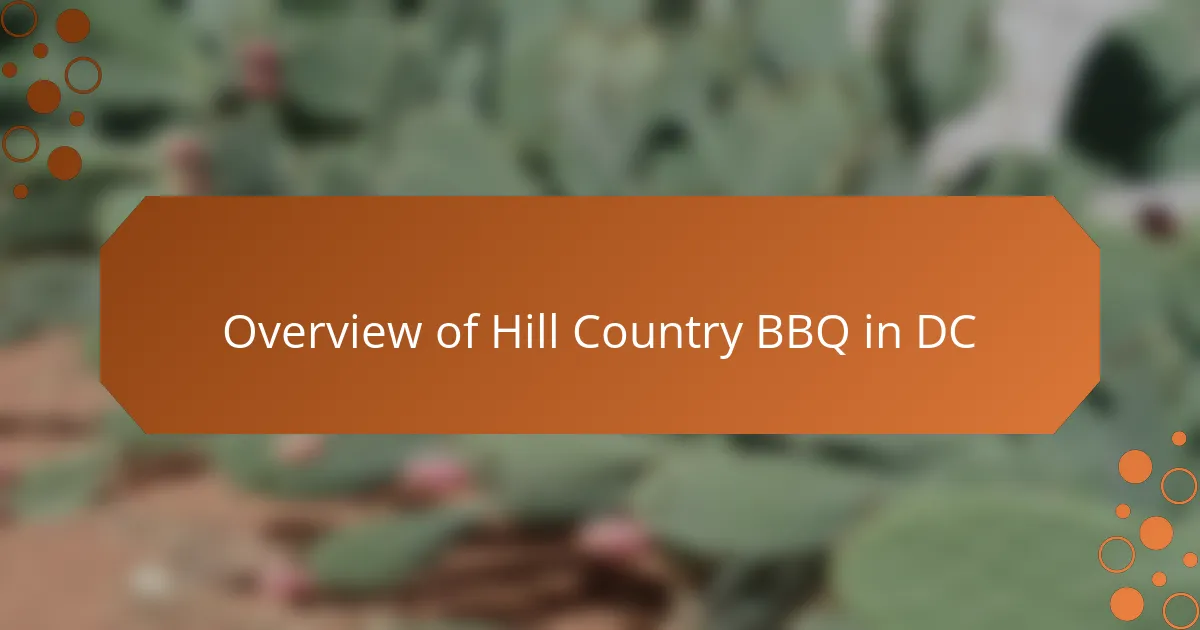 Overview of Hill Country BBQ in DC