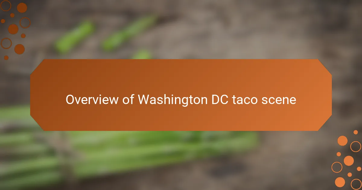 Overview of Washington DC taco scene
