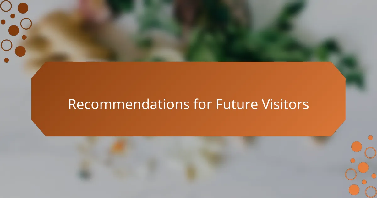 Recommendations for Future Visitors