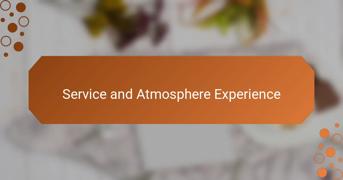 Service and Atmosphere Experience